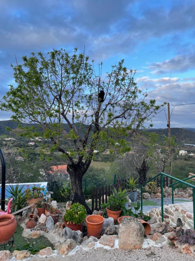 Monte Carrascal Guesthouse Salir 외부 사진